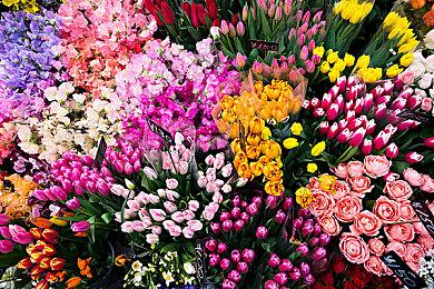 解密冒险《阿波皮亚：糖衣冒险》公布超长动画短片