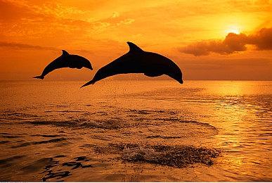 全新身份白板加入！快来KK对战平台阴阳师《妖怪小班》内互飙演技吧！