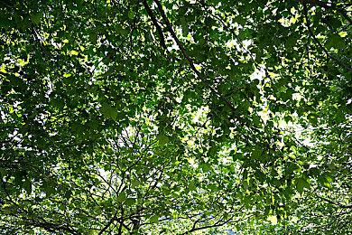 《堕落之主2》全新宣传图 神秘千手角色登场