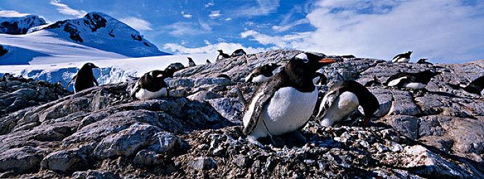 《怪物猎人：崛起》与USJ联动任务 今日发布