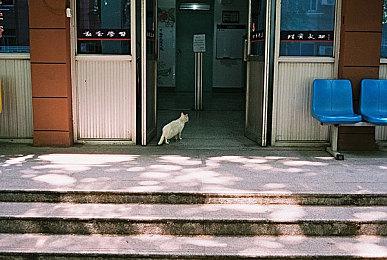 今天是《生化危机8》发售一周年